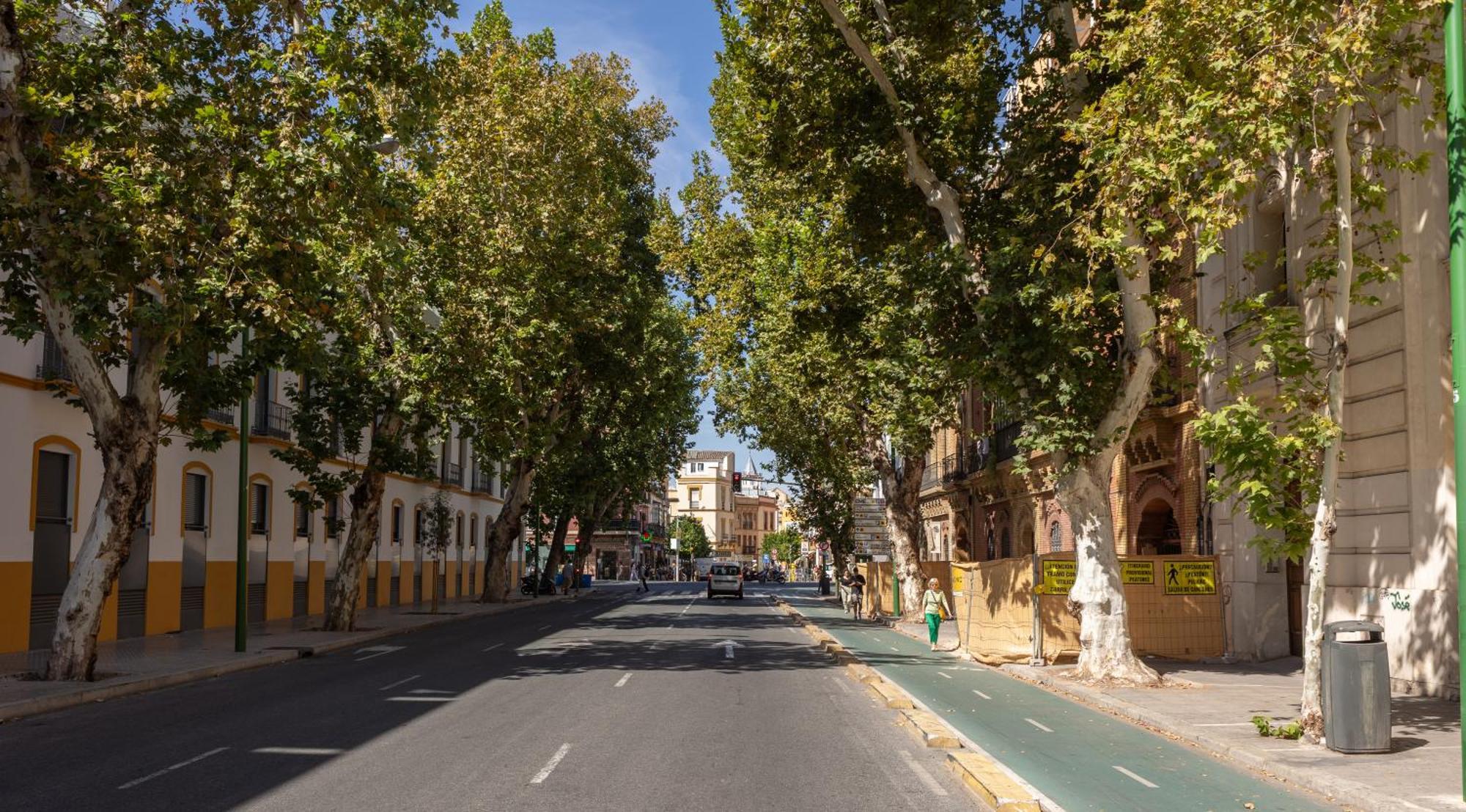 Charming 2 Bedroom Apartment At Sevilla City Center By Ocityzen Exterior foto